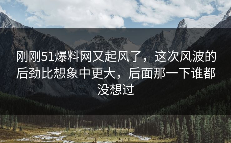 刚刚51爆料网又起风了，这次风波的后劲比想象中更大，后面那一下谁都没想过